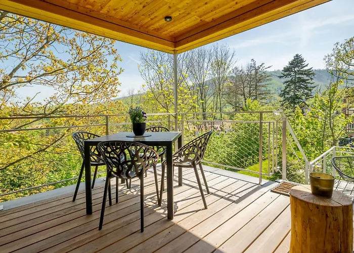 Treehouse In The Harz National Park